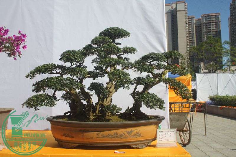 Ƭ20131026ۺ 249.jpg