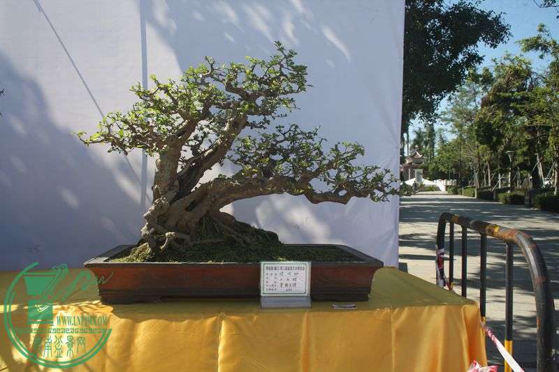 Ƭ20131026ۺ 204.jpg