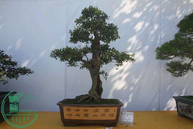 Ƭ20131026ۺ 115.jpg