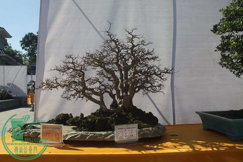 Ƭ20131026ۺ 292.jpg