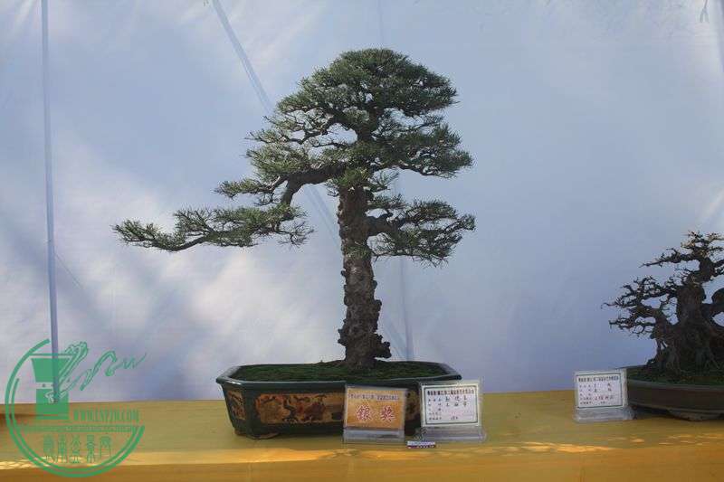 Ƭ20131026ۺ 259.jpg