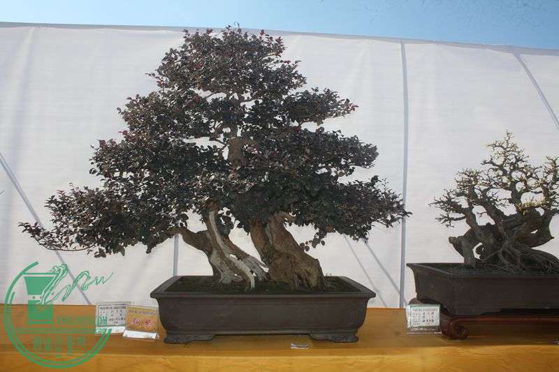 Ƭ20131026ۺ 283.jpg