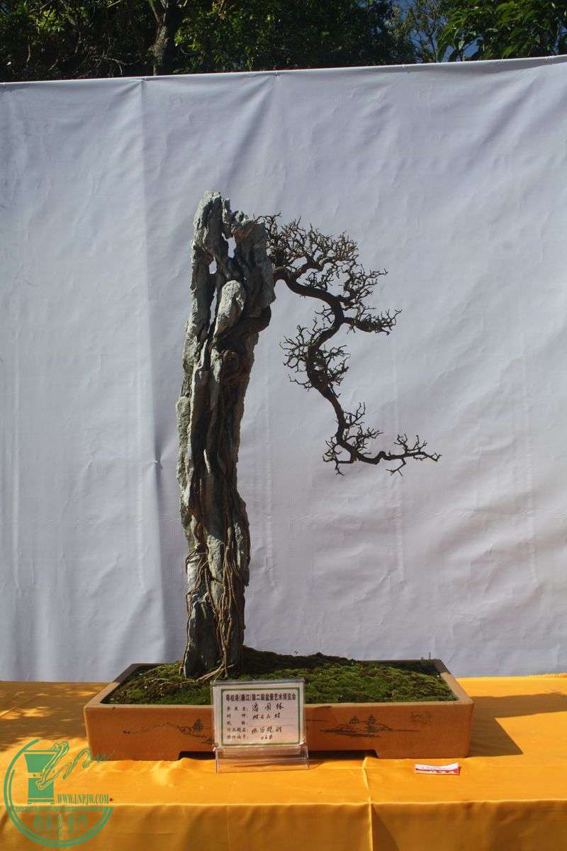Ƭ20131026ۺ 038.jpg