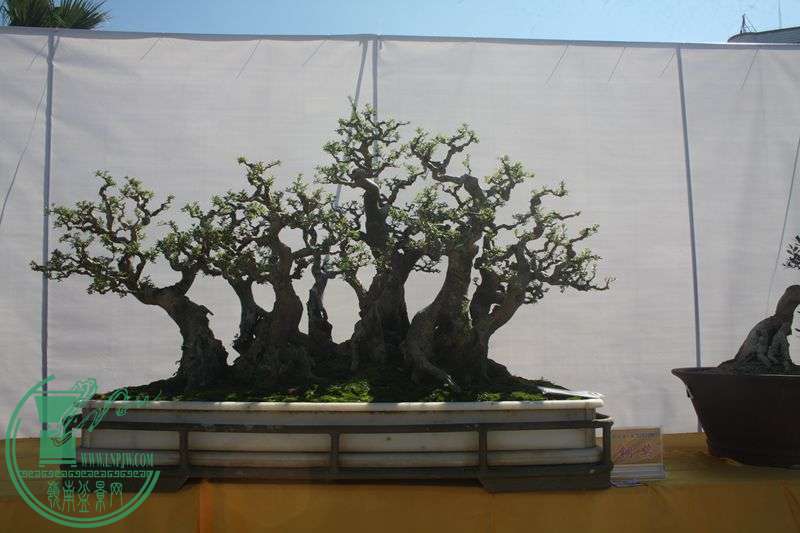 Ƭ20131026ۺ 188.jpg