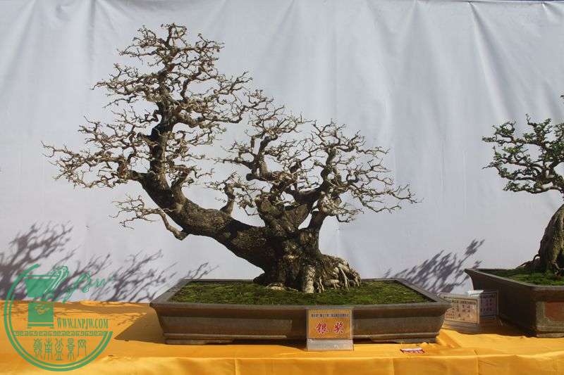 Ƭ20131026ۺ 255.jpg