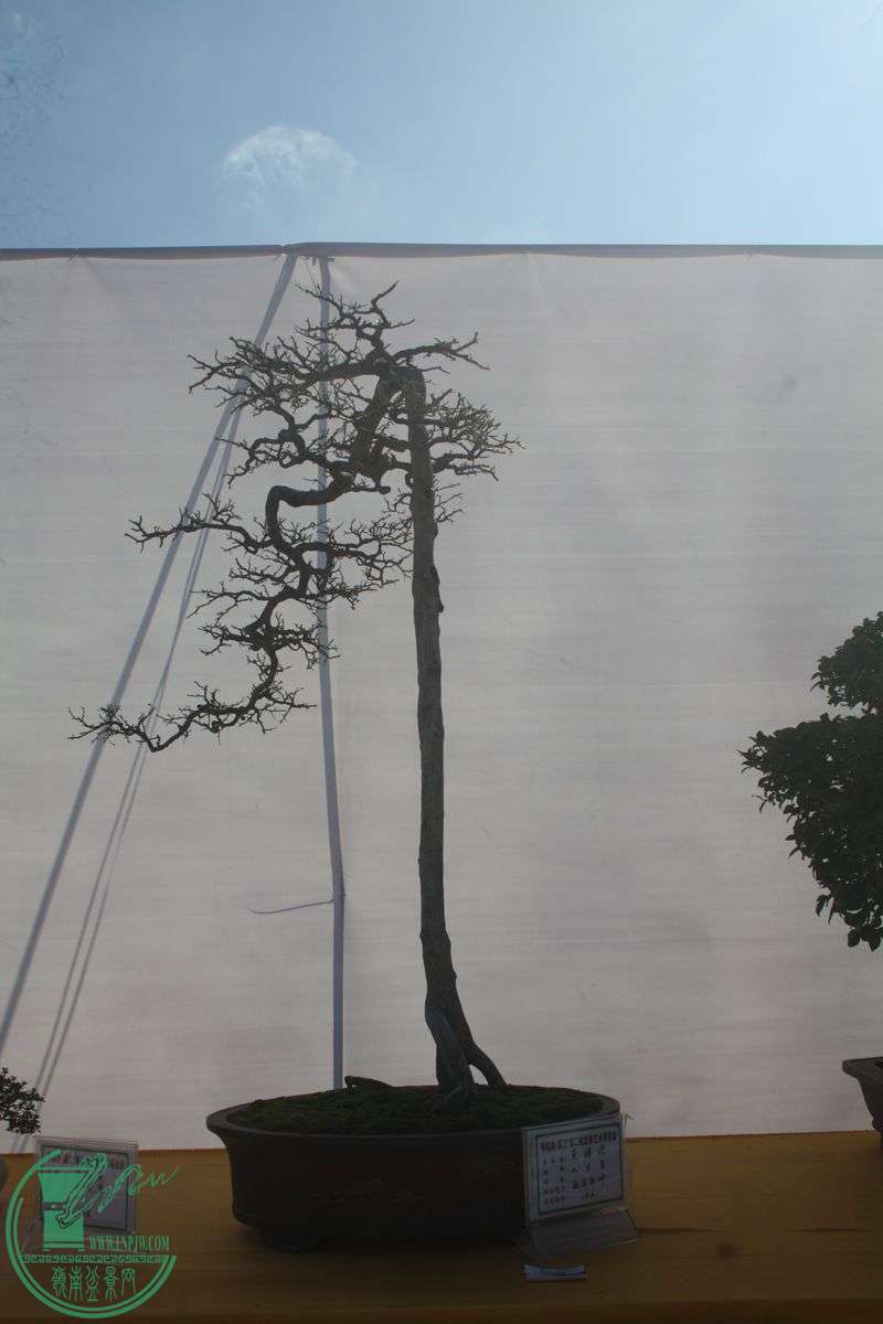 Ƭ20131026ۺ 269.jpg