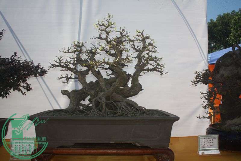 Ƭ20131026ۺ 282.jpg