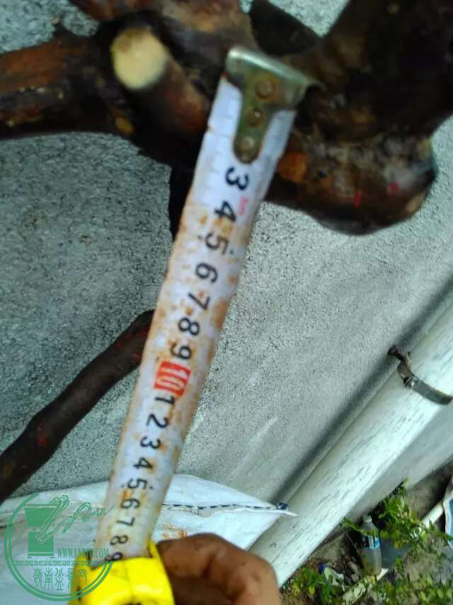 4.5.jpg