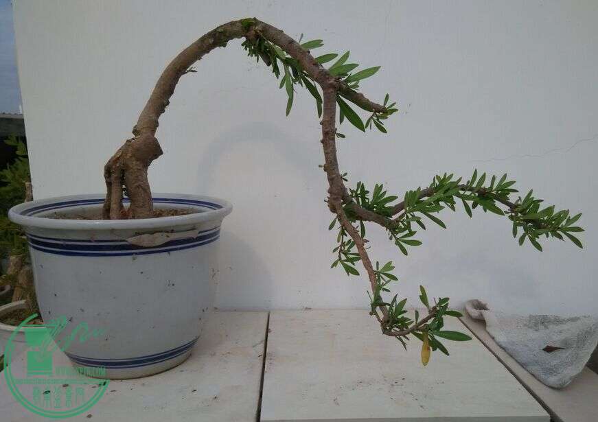 QQͼƬ20151208214922.jpg