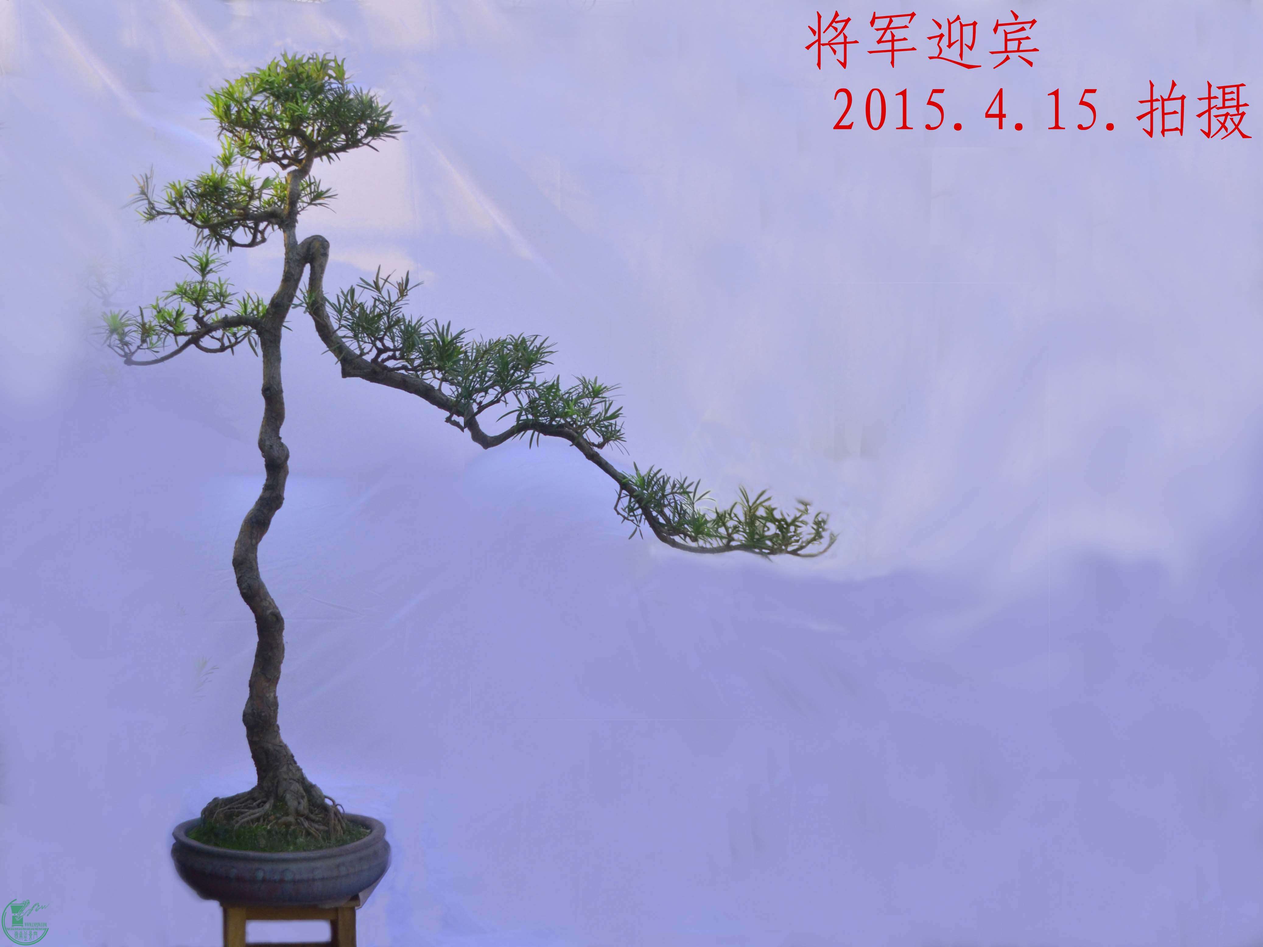 ӭ-Ҷ޺ɹ2022.jpg