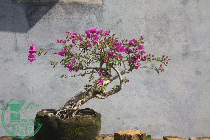 Ƭ20131026ۺ 341.jpg