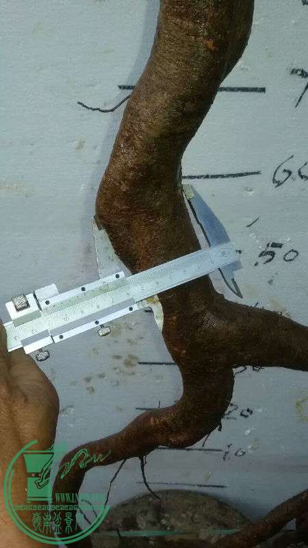 712828