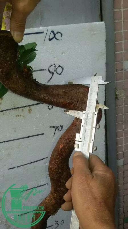 712835