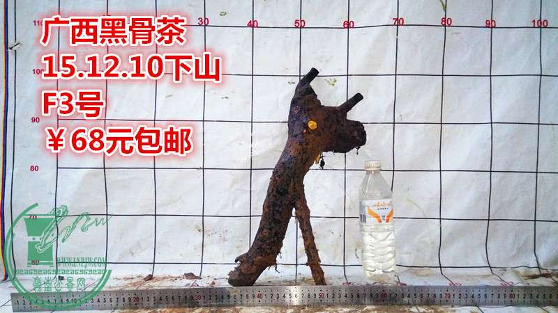 IMG_20151210_180239_.jpg