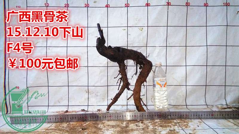 IMG_20151210_180431_.jpg