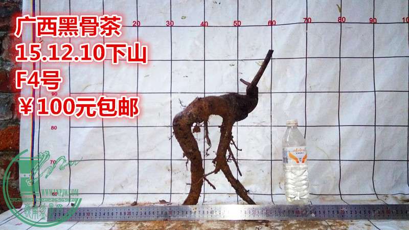 IMG_20151210_180505_.jpg