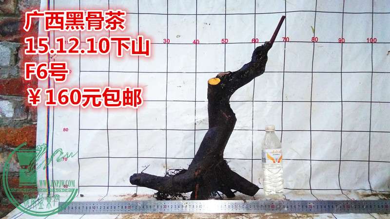 IMG_20151210_180720_.jpg