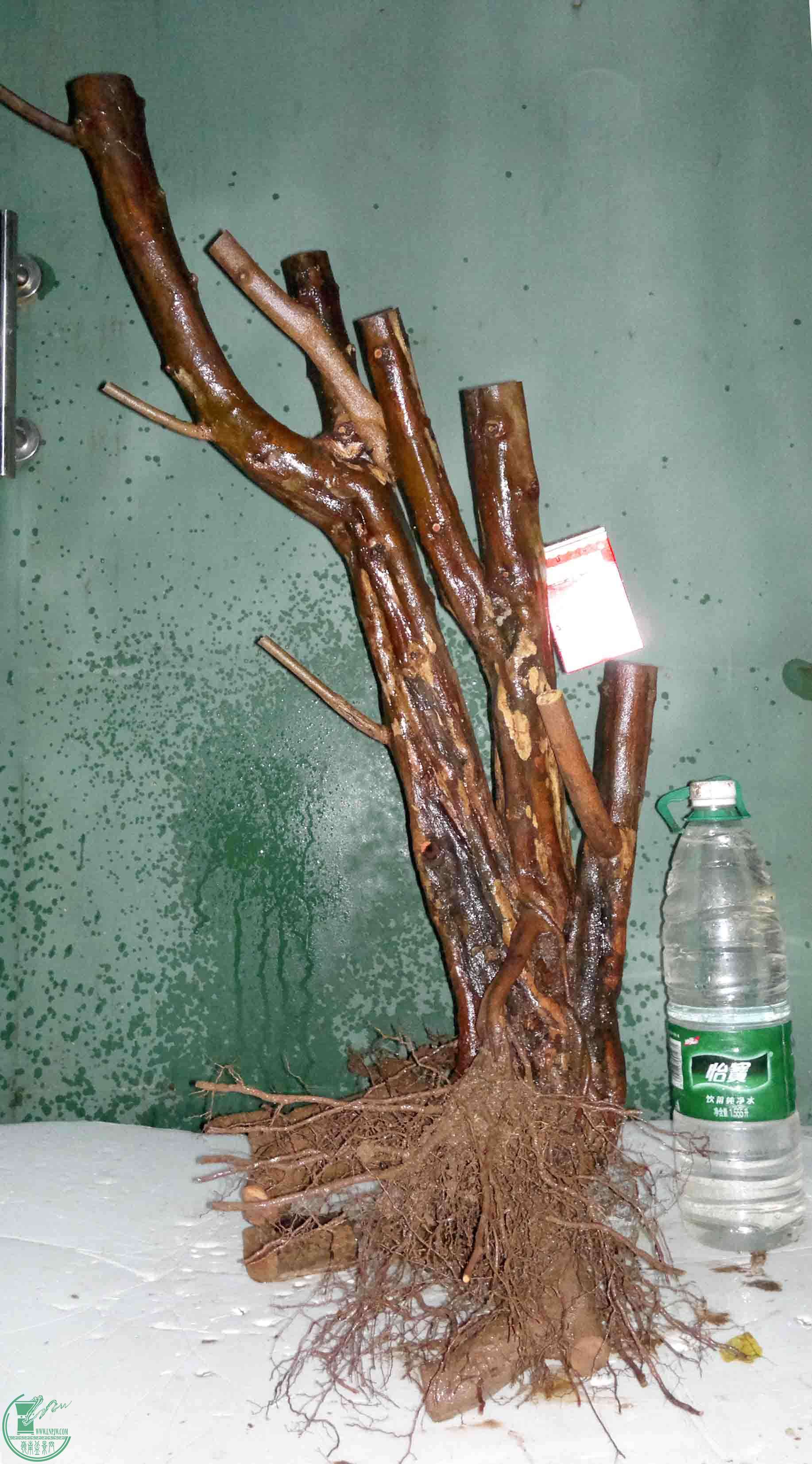 201512105273.jpg