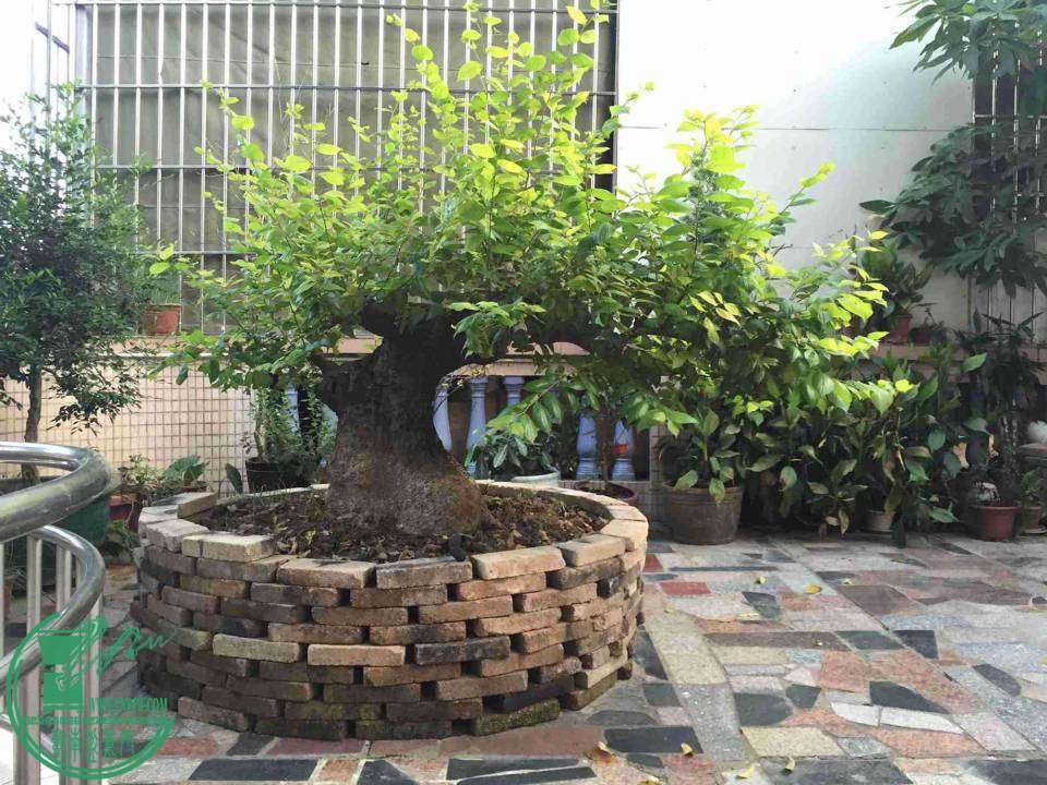 140851f89em9hjpims7807_jpg_thumb.jpg