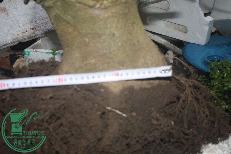 Ƭ20131026ۺ 353.jpg
