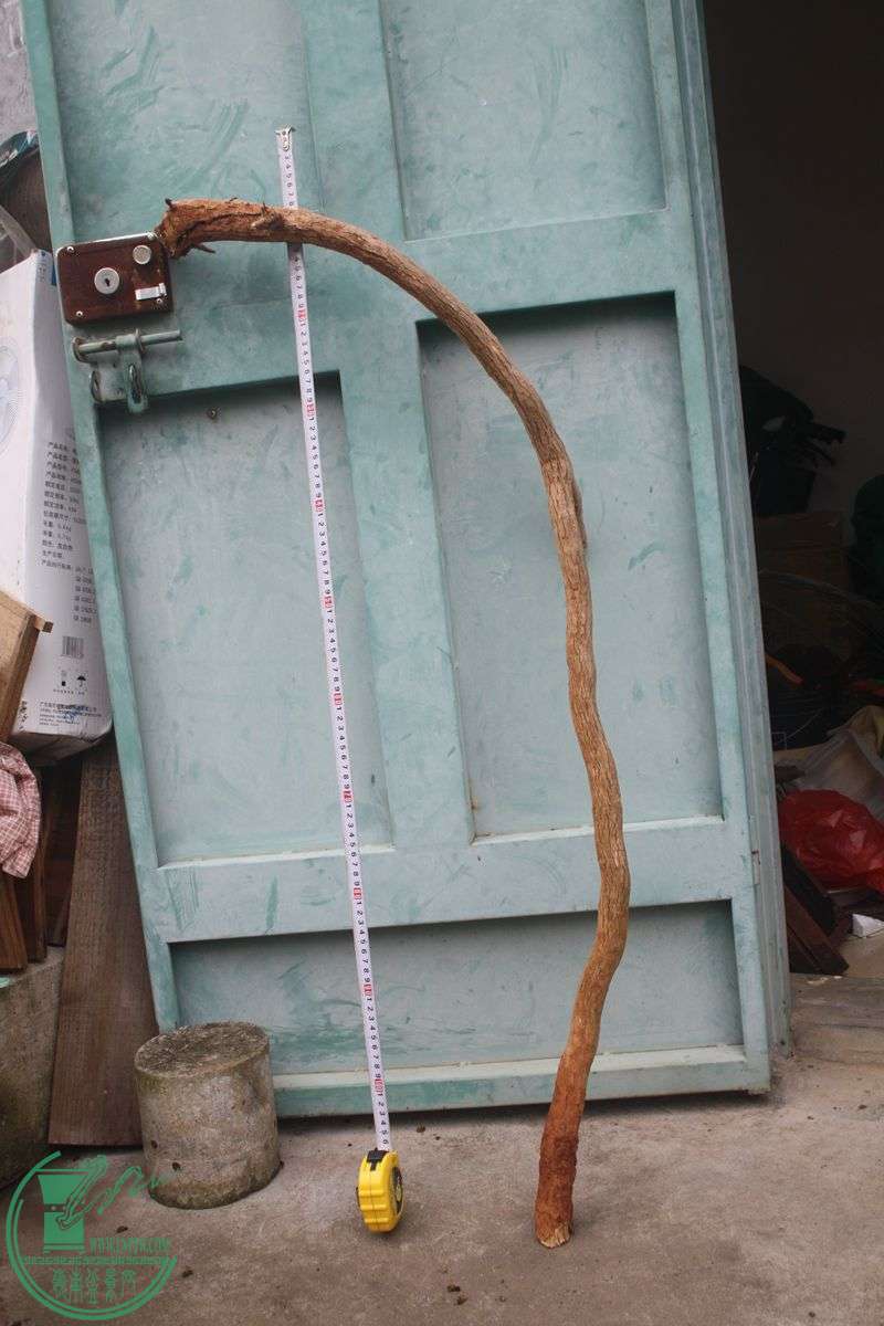 Ƭ20131026ۺ 359.jpg