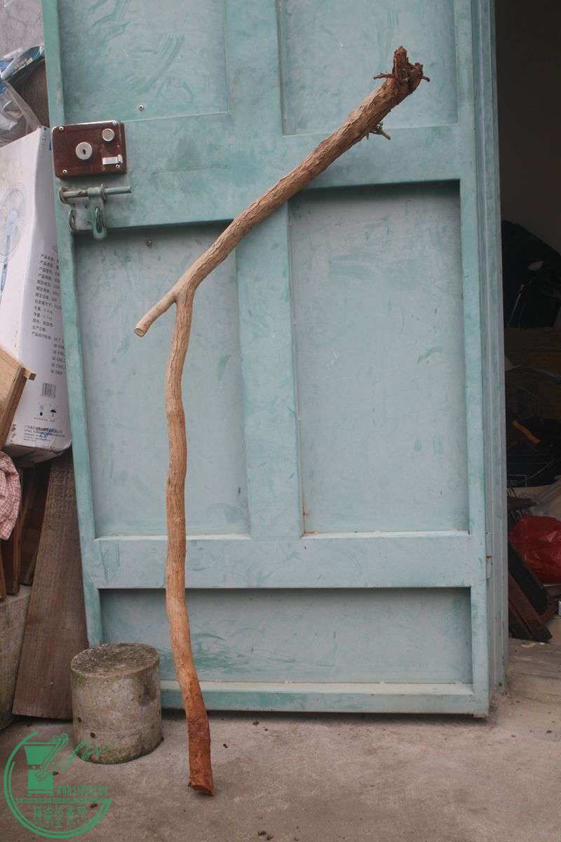 Ƭ20131026ۺ 357.jpg