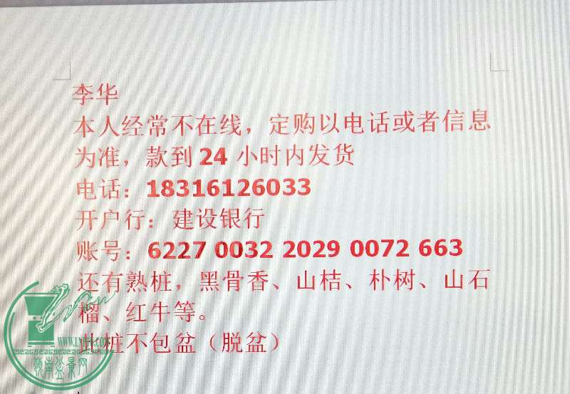 713366