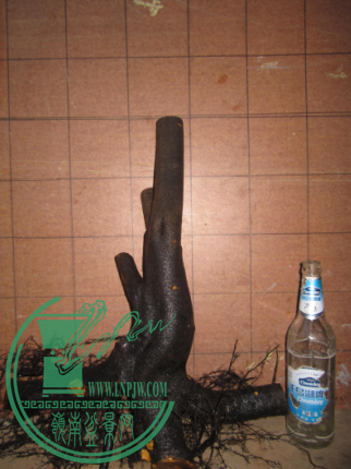 QQͼƬ20151211180112.png
