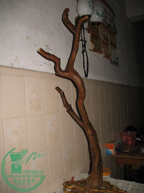 118.JPG