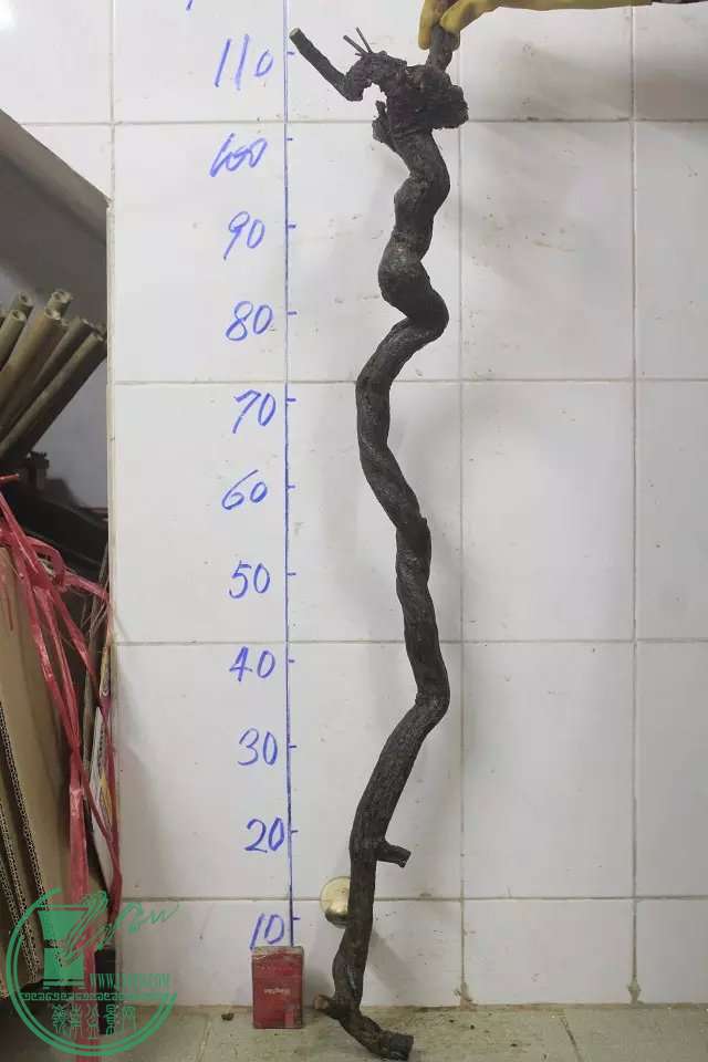 psb (8).jpg