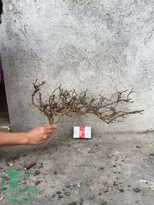 QQͼƬ20151212000105.jpg