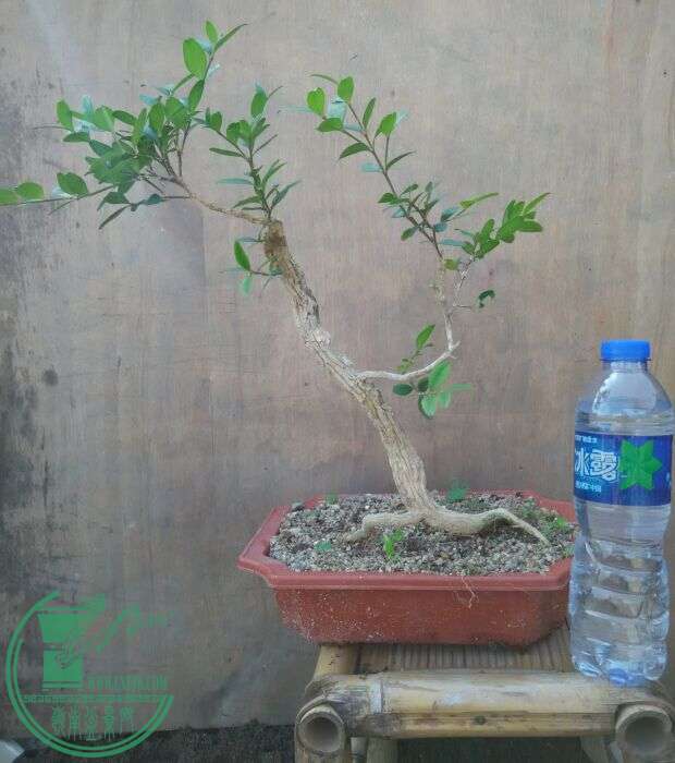 QQͼƬ20151212134742.jpg