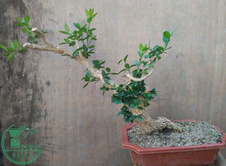 QQͼƬ20151212135023.jpg