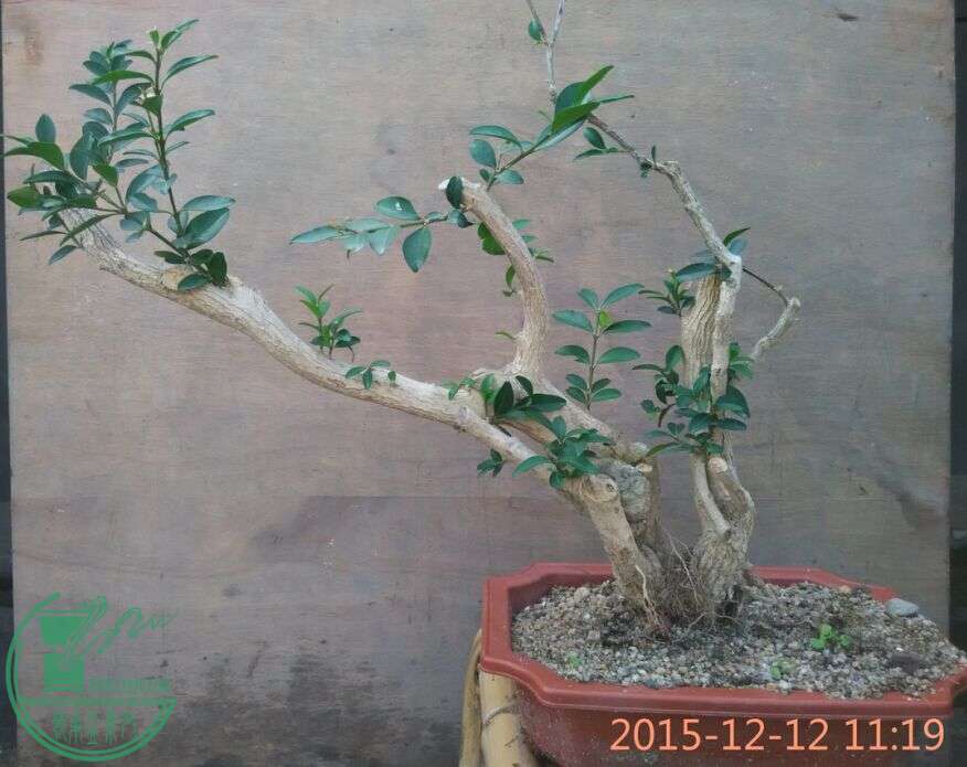 QQͼƬ20151212135759.jpg