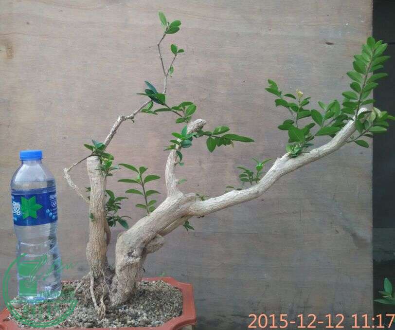 QQͼƬ20151212135820.jpg
