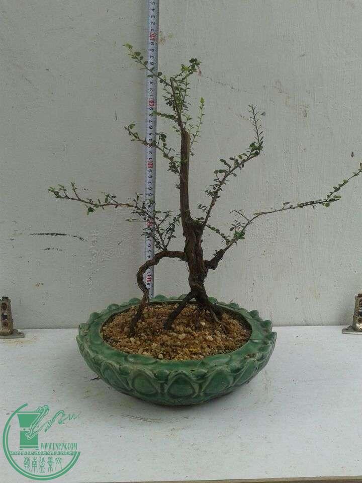 QQͼƬ20151206131038.jpg