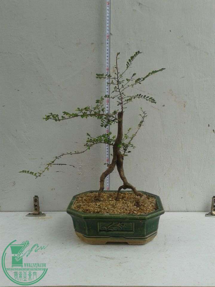 QQͼƬ20151206131056.jpg