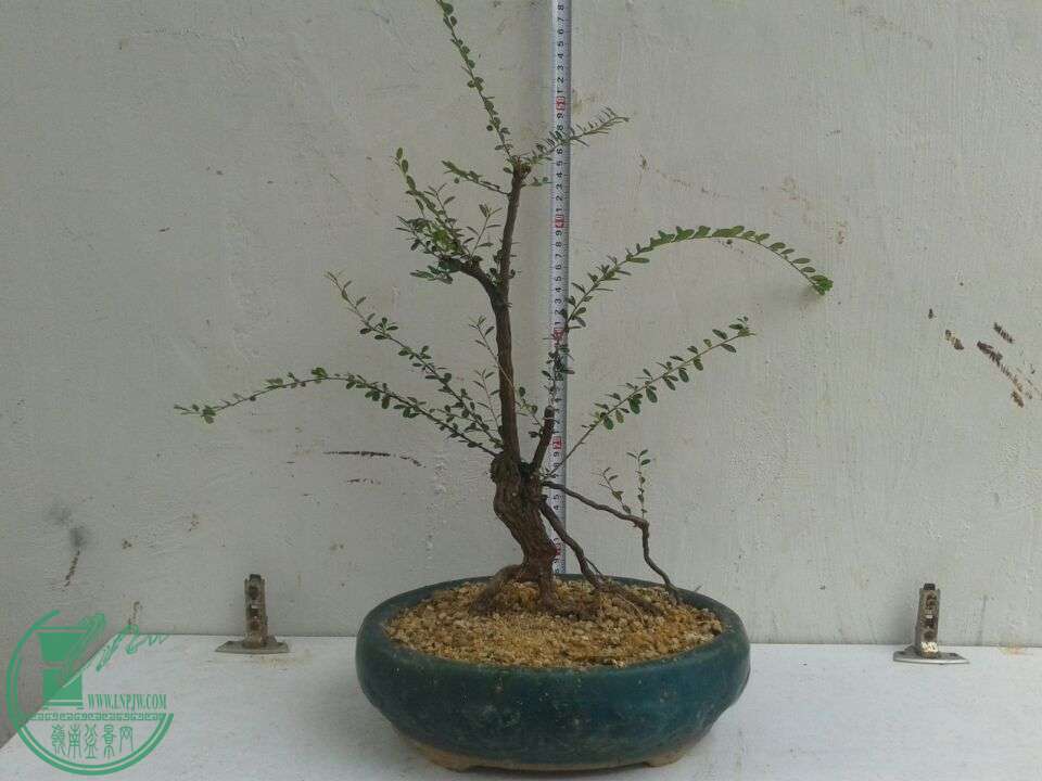 QQͼƬ20151205152305.jpg