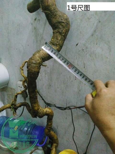 QQͼƬ20151212190101.jpg