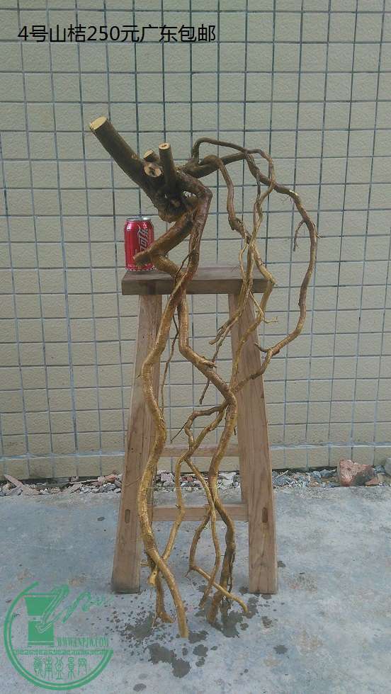QQͼƬ20151212192327.jpg