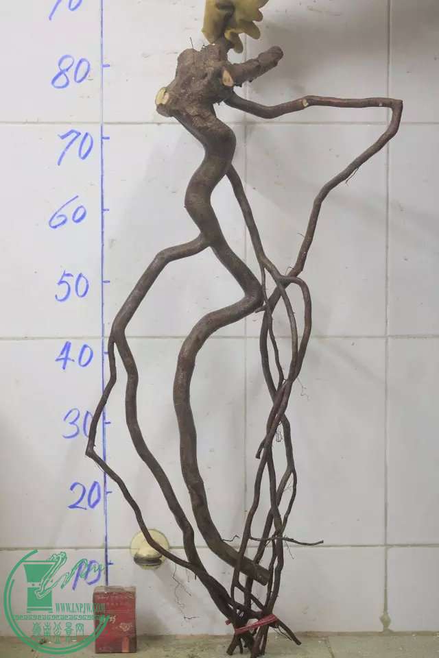 psb (10).jpg