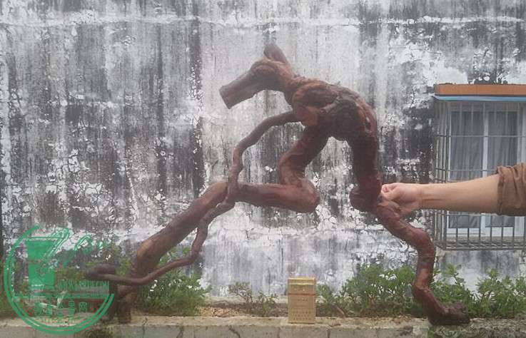 9_.jpg