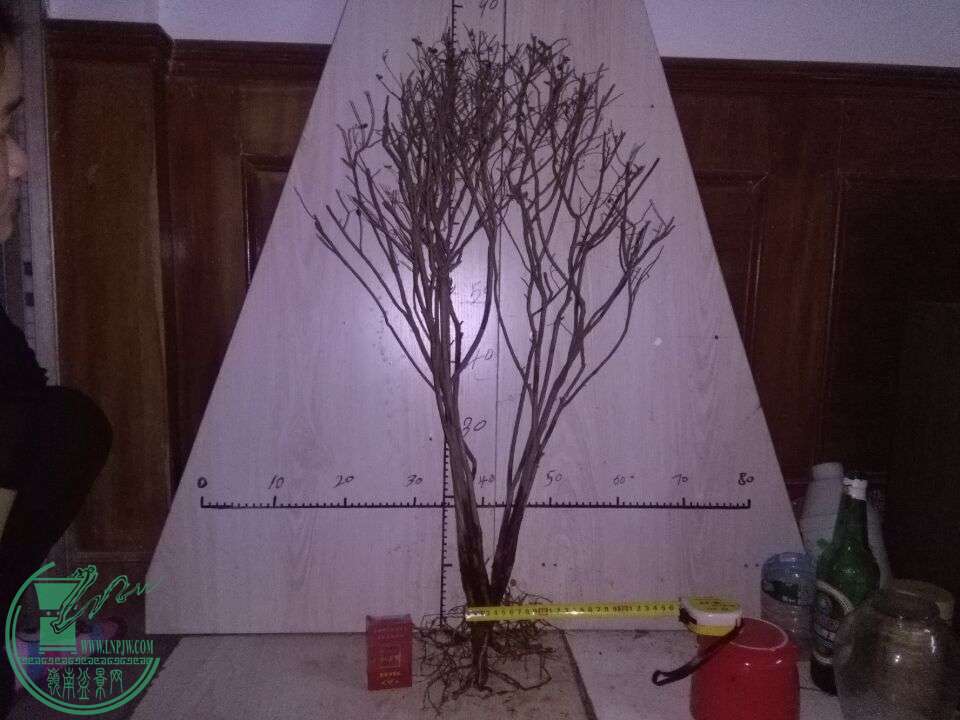 QQͼƬ20151213201952.jpg