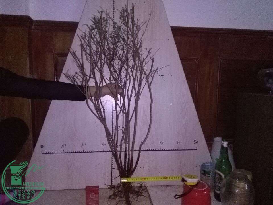 QQͼƬ20151213201948.jpg