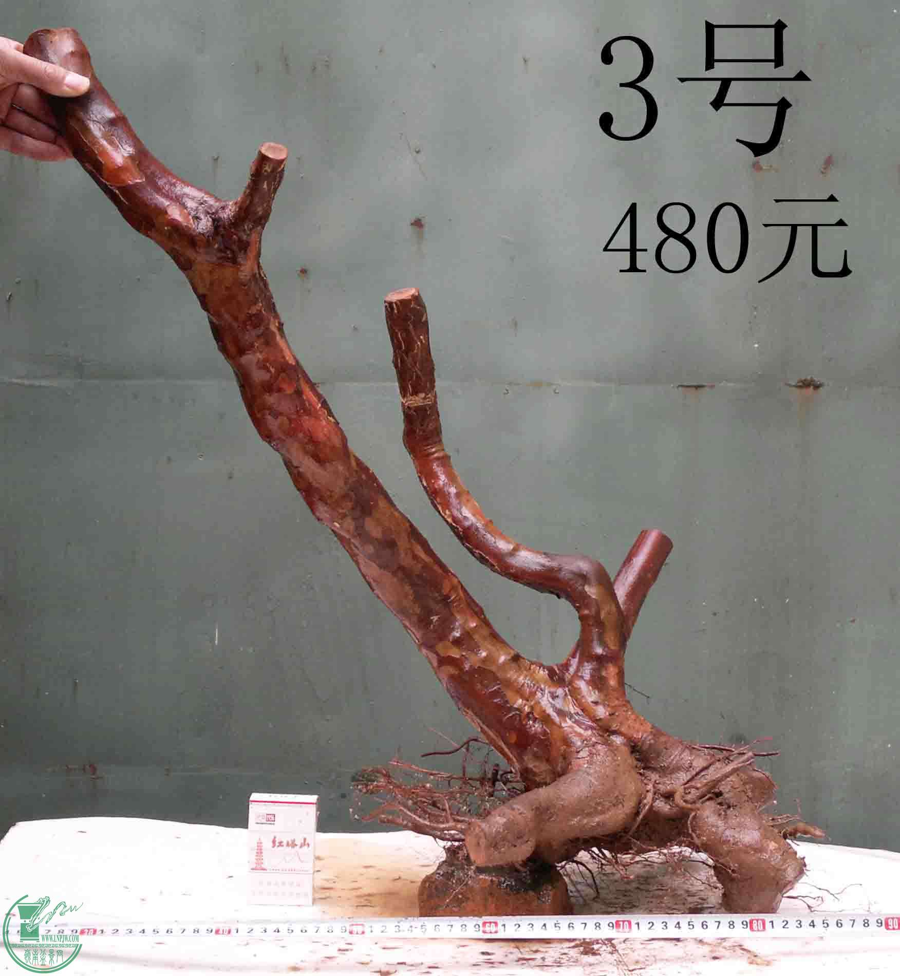 201512135517.jpg