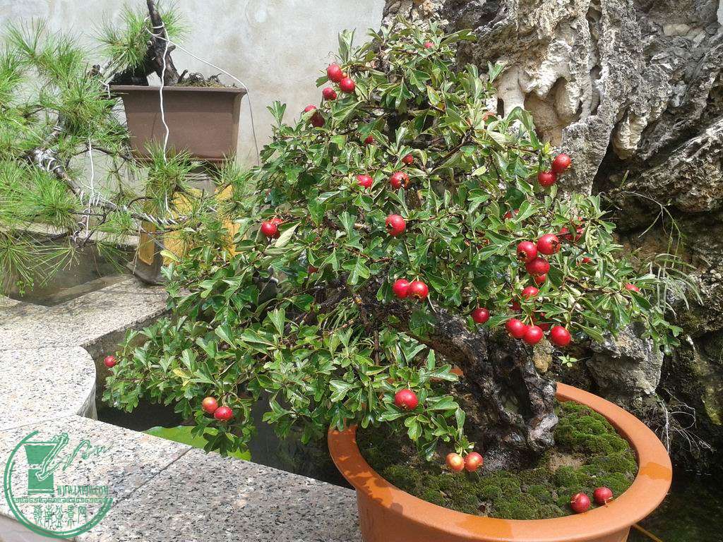 20130914_120646.jpg