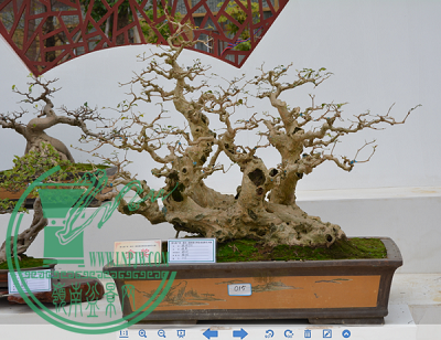 psb (3).png
