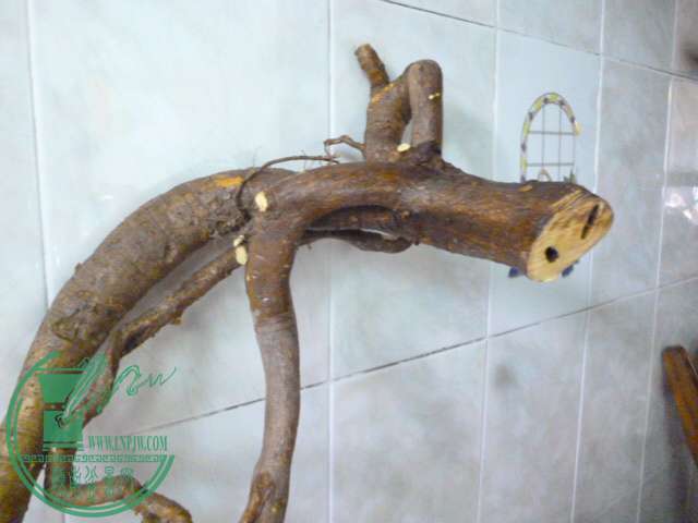 P1150300.JPG