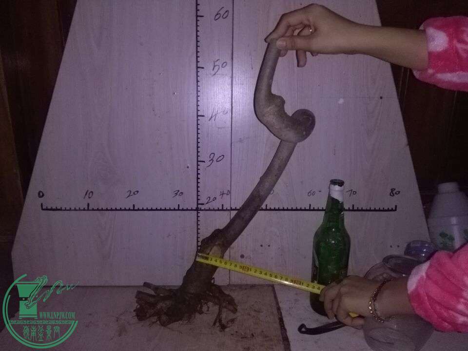 QQͼƬ20151216191732.jpg