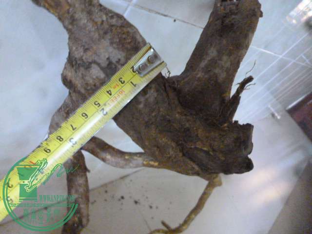 P1150322.JPG